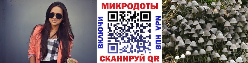 блэк спрут вход  Саров  Псилоцибиновые грибы Cubensis 